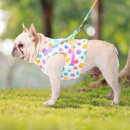 Rainbow Dots Soft Pet Harness