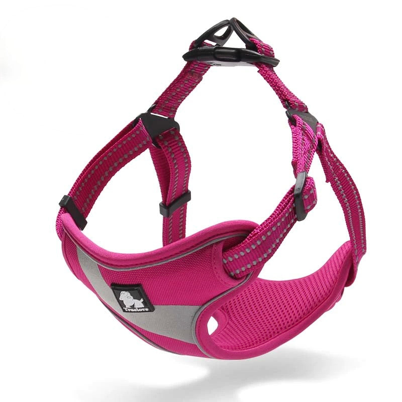 Protective Nylon Walking Dog Harness