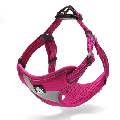 Protective Nylon Walking Dog Harness