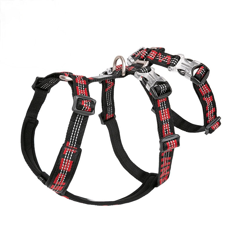 Double Straps Escape Proof Dog Harness