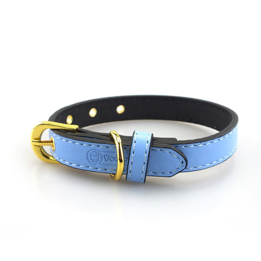 High End Gold Button Pet Collar