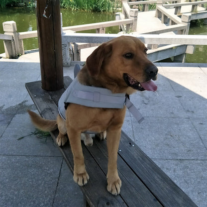 Cute Shark Dog Life Jacket