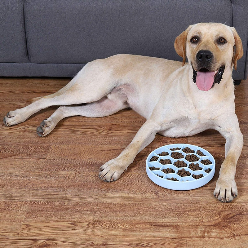 Honeycomb Silicone Dog Food Bowl