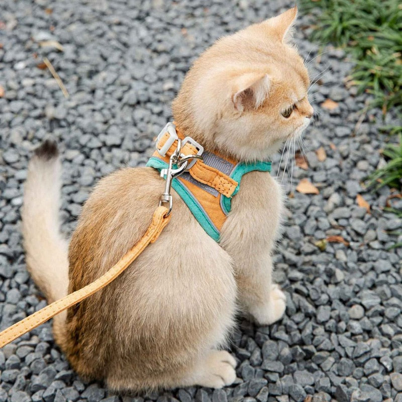 Suede Fabric Cat Harness Leash