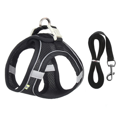 Escape Proof Cat Harness Leash