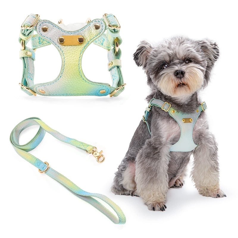 Lightweight Fashion No Pull Dog Harness