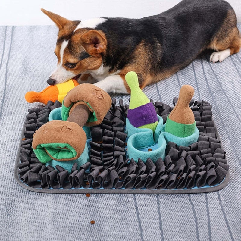 Treats Sniffing Dog Training Pads