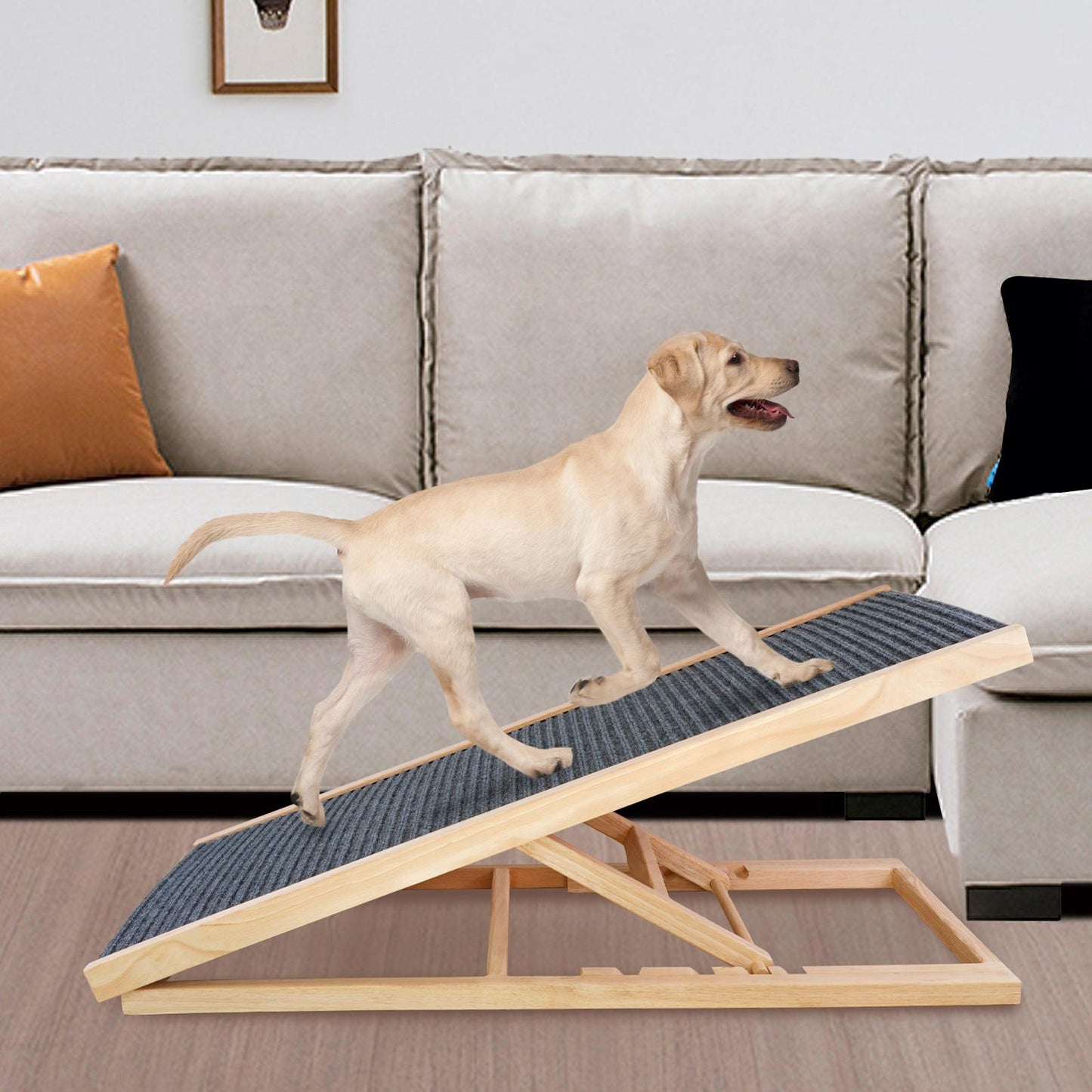 2 Levels Height Adjustable Dog Ramp