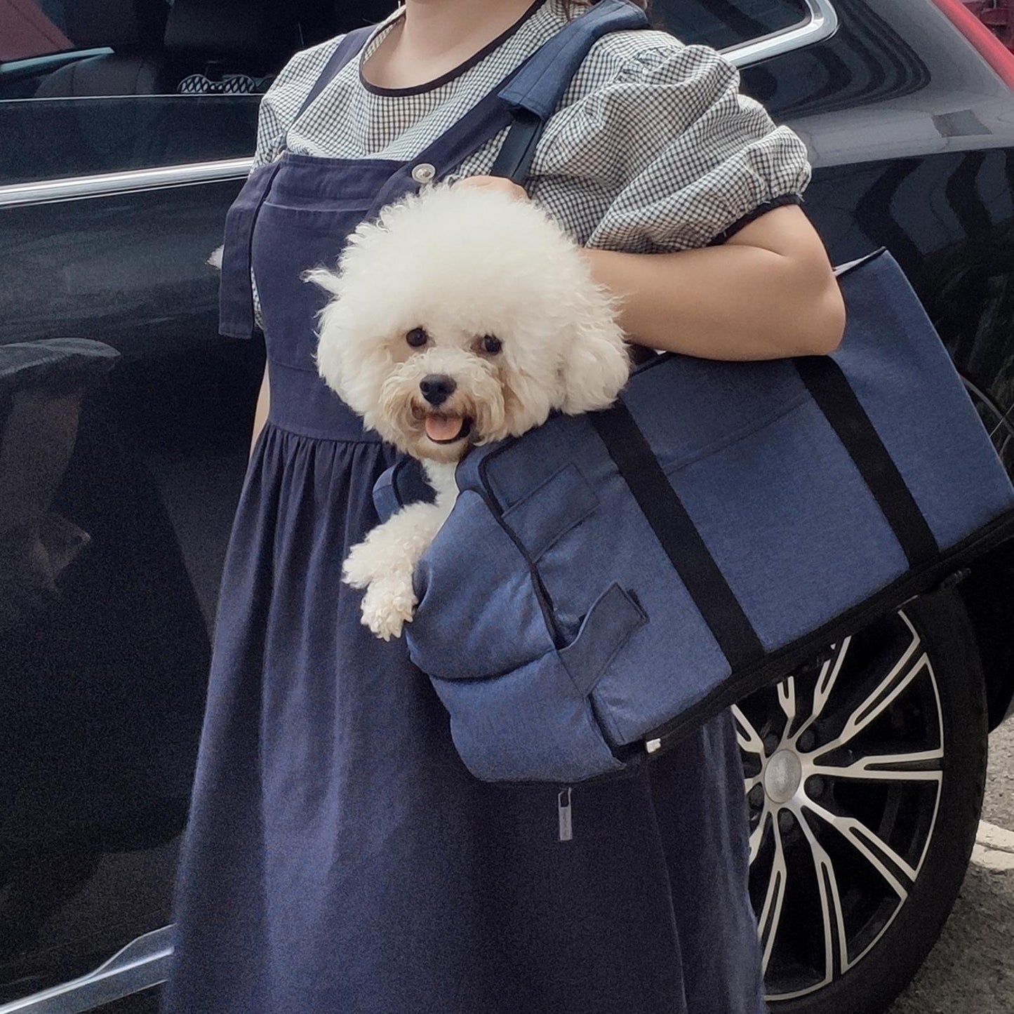 Portable Pet Car Booster Carrier