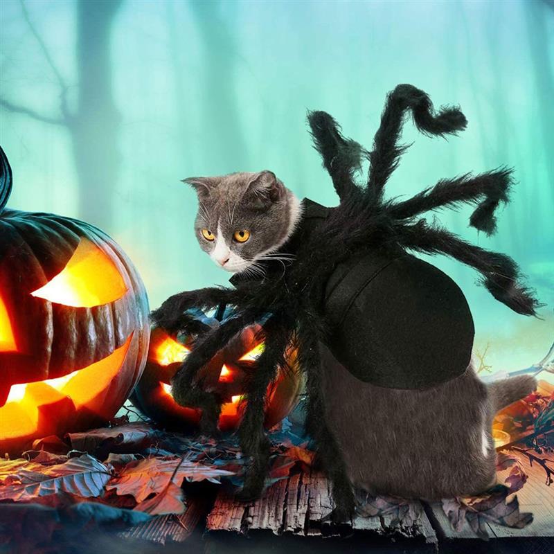 Halloween Black Spider Pets Costume