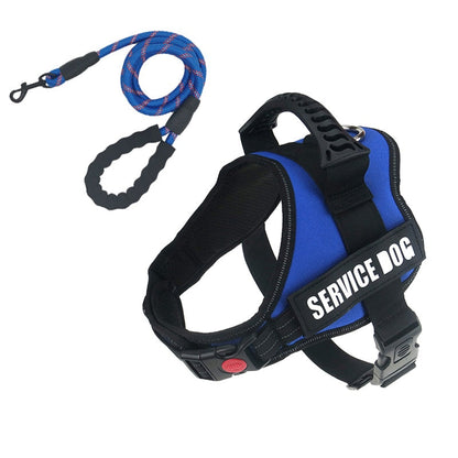 Rugged Nylon Handle Dog Harness