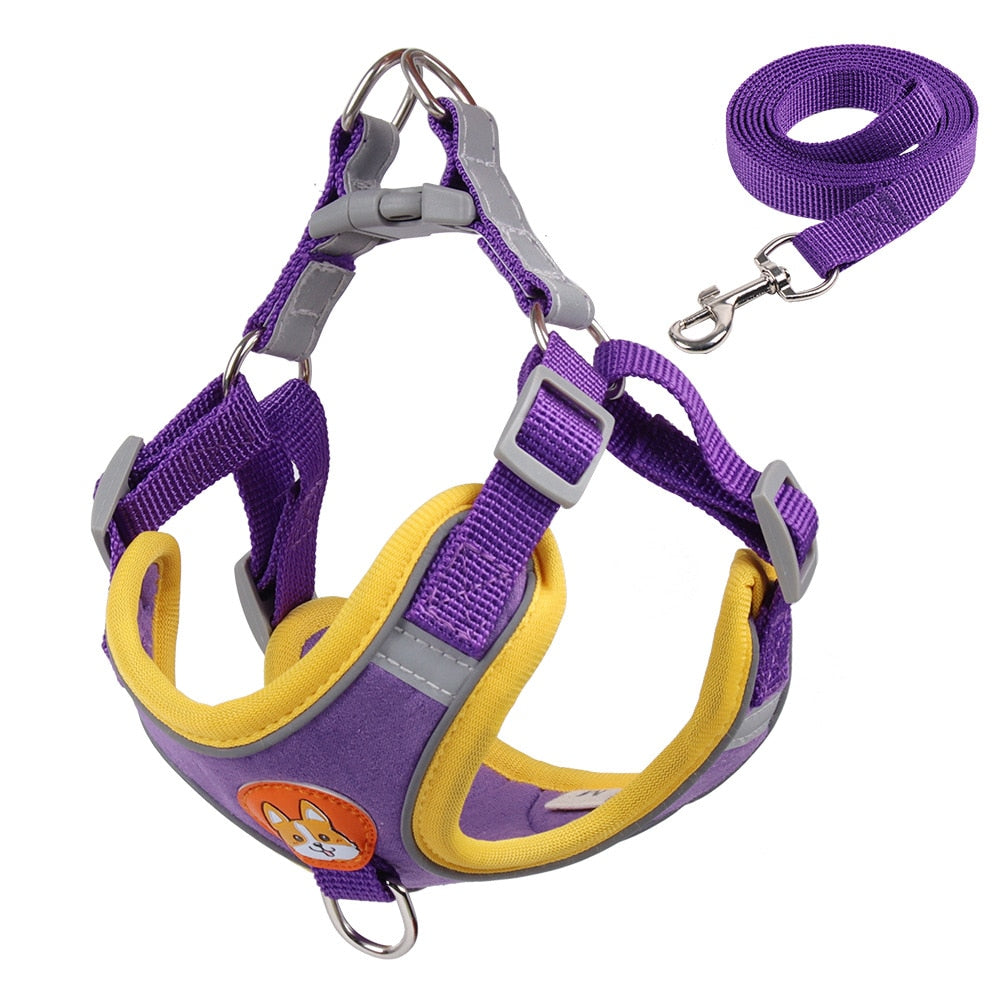 Creative Design No Pull Dog Harness