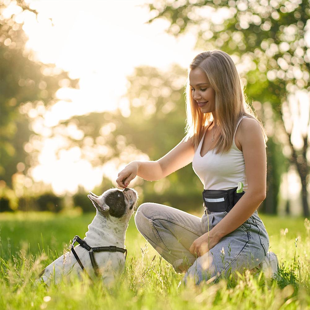 Adjustable Waist Belt Dog Treat Pouch