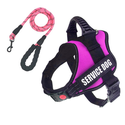 Rugged Nylon Handle Dog Harness