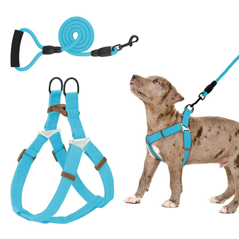 No Pull Dog Harness Leash Set