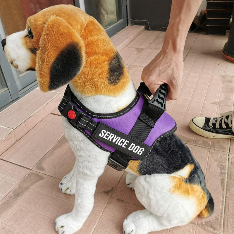 Rugged Nylon Handle Dog Harness