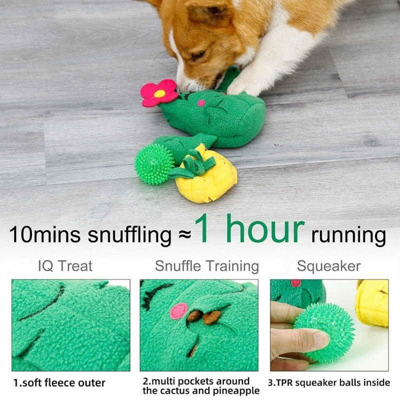 Cactus Dog Snuffle Toys