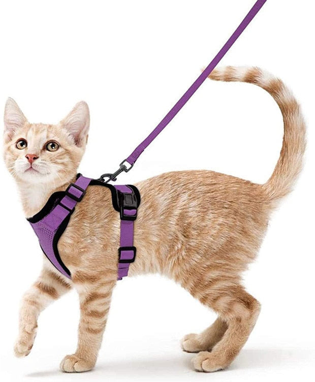 Soft Mesh Reflective Small Cat Harness