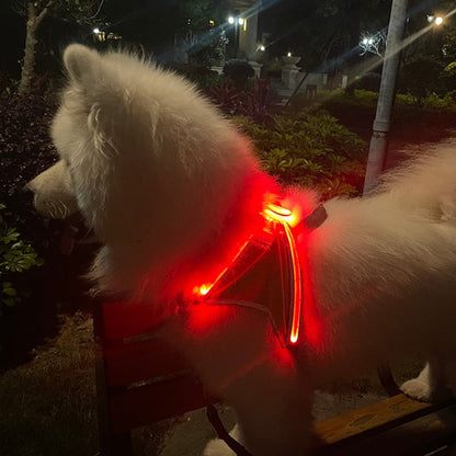 Luminous Night Visibility Dog Harness