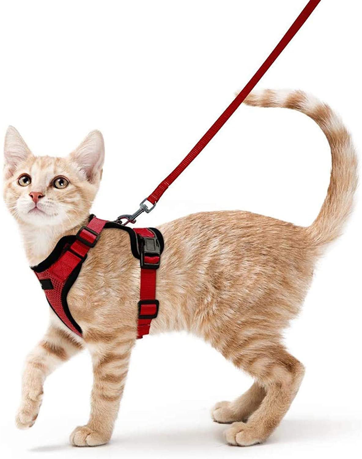 Soft Mesh Reflective Small Cat Harness