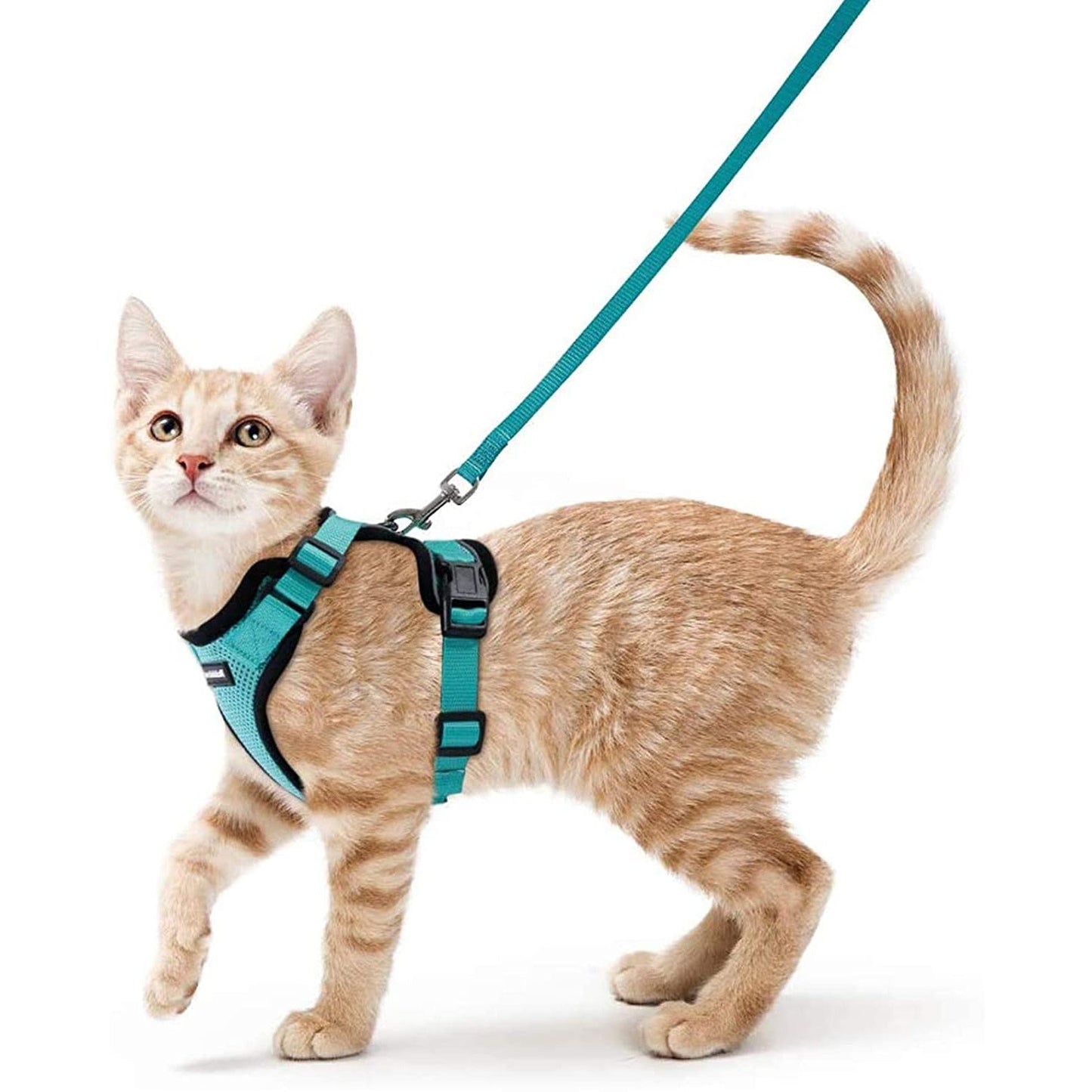 Soft Mesh Reflective Small Cat Harness