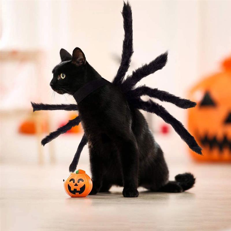 Halloween Black Spider Pets Costume