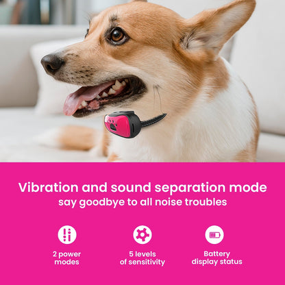 Adjustable Sensitivity Dog Collar