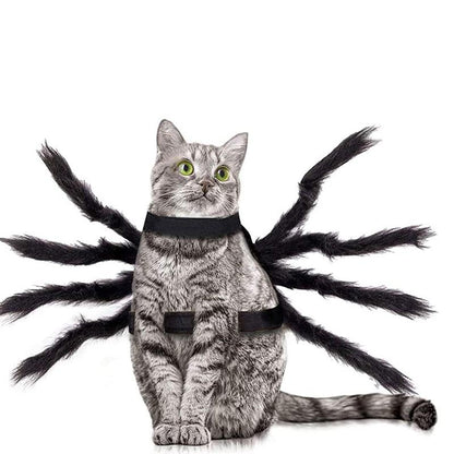 Halloween Black Spider Pets Costume