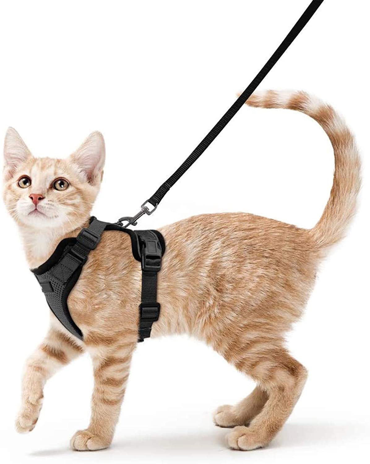 Soft Mesh Reflective Small Cat Harness