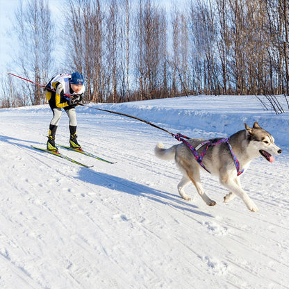 Reflective Big Dog Sledding Harness