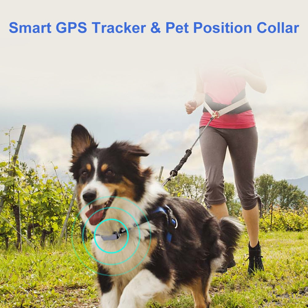 Real Time Tracking Pet GPS Tracker