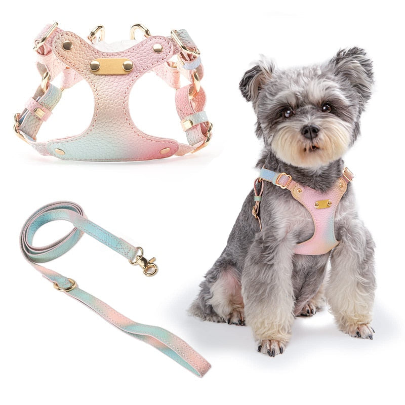 Lightweight Fashion No Pull Dog Harness