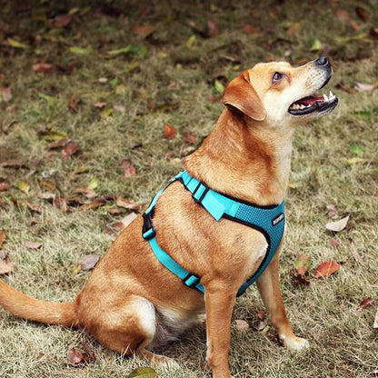 Reflective Breathable Dog Harness Vest