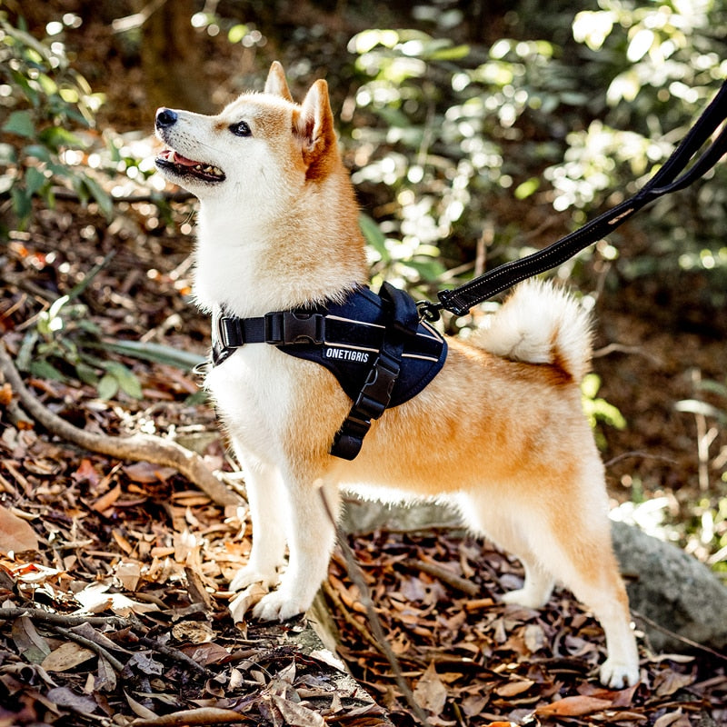 No Slide Reflective Night K9 Harness