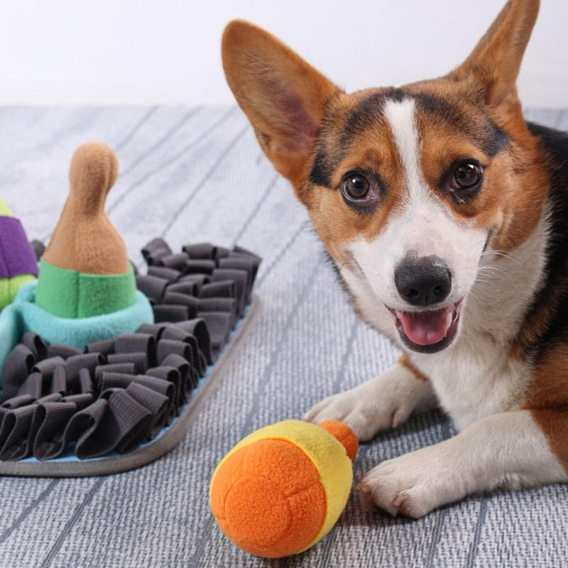 Treats Sniffing Dog Training Pads