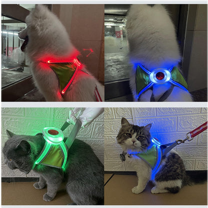 Luminous Night Visibility Dog Harness