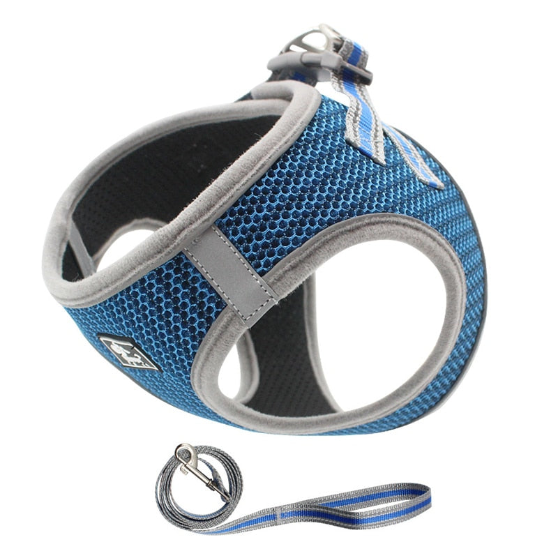 Sturdy Step In Dog Harness