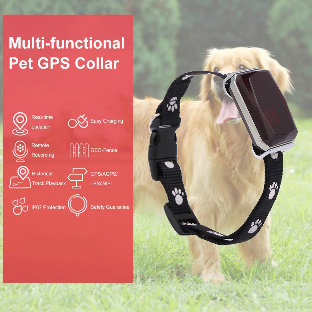 Real Time Tracking Pet GPS Tracker