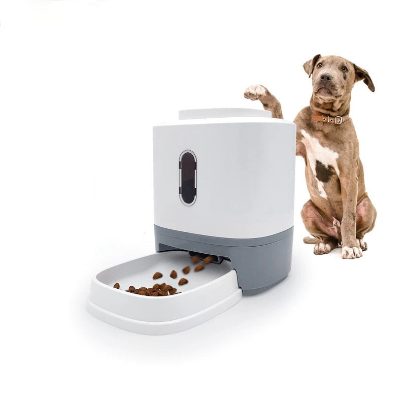 Catapult Automatic Dog Feeder Bowl