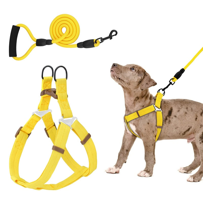 No Pull Dog Harness Leash Set