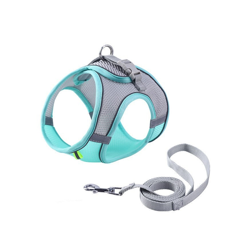 Escape Proof Cat Harness Leash