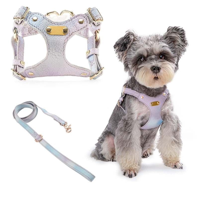 Lightweight Fashion No Pull Dog Harness