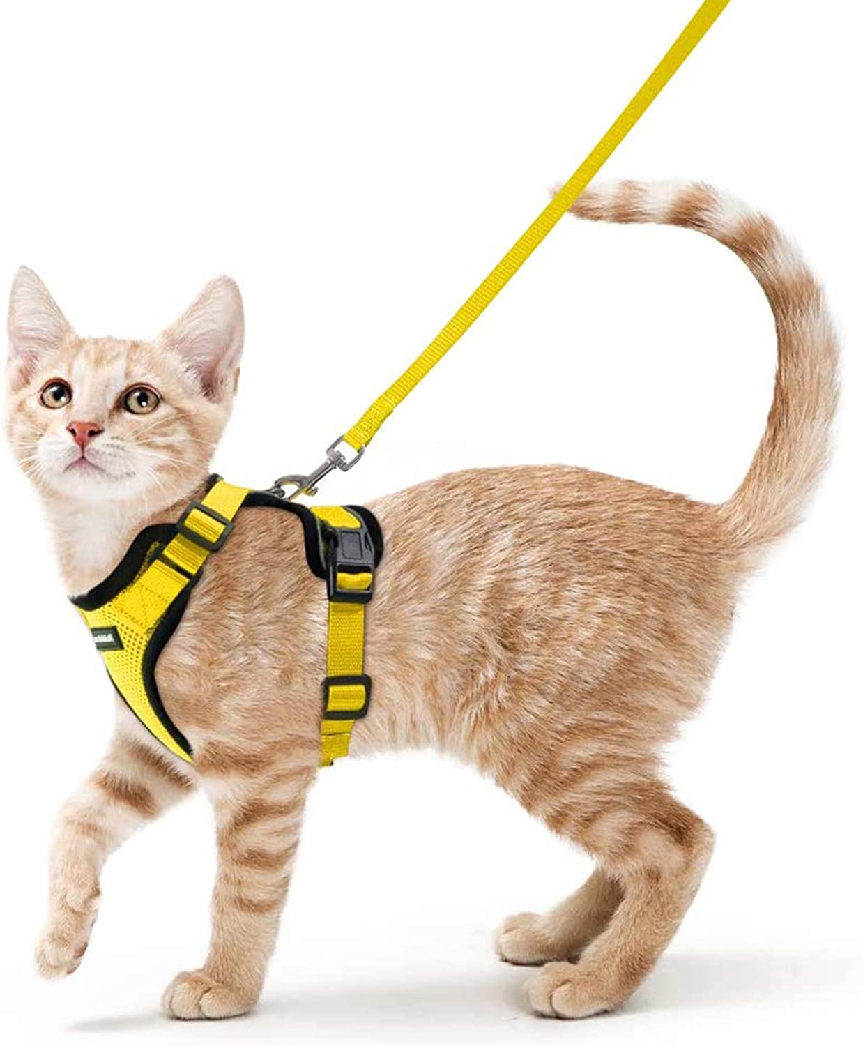 Soft Mesh Reflective Small Cat Harness