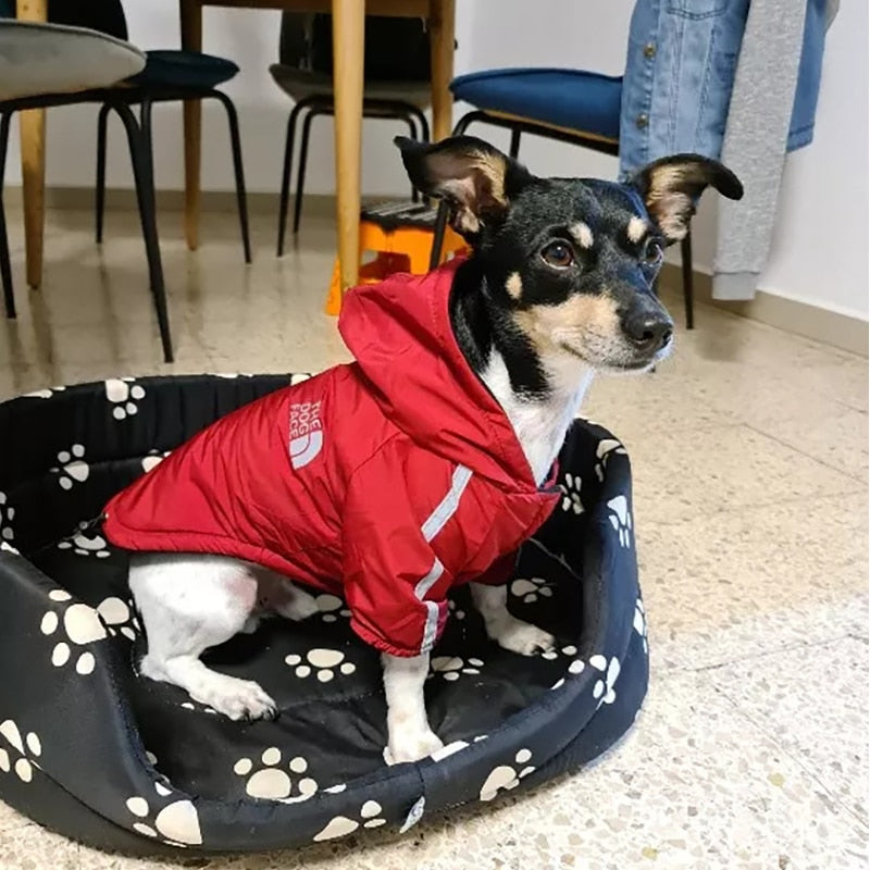 Warm Fleece Waterproof Dog Raincoats