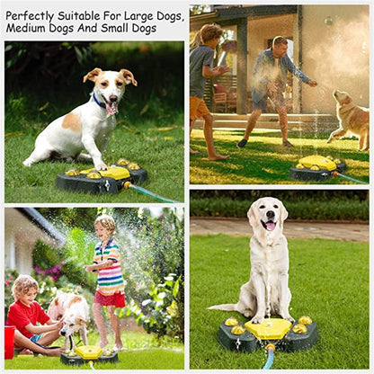 Outdoor Dog Sprinkler Water Fountain