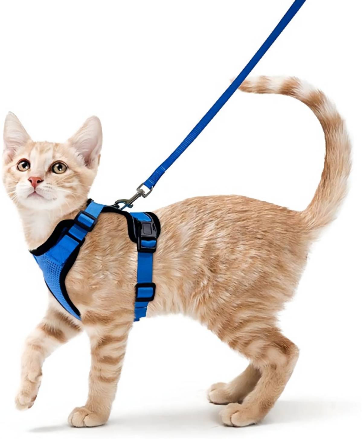 Soft Mesh Reflective Small Cat Harness