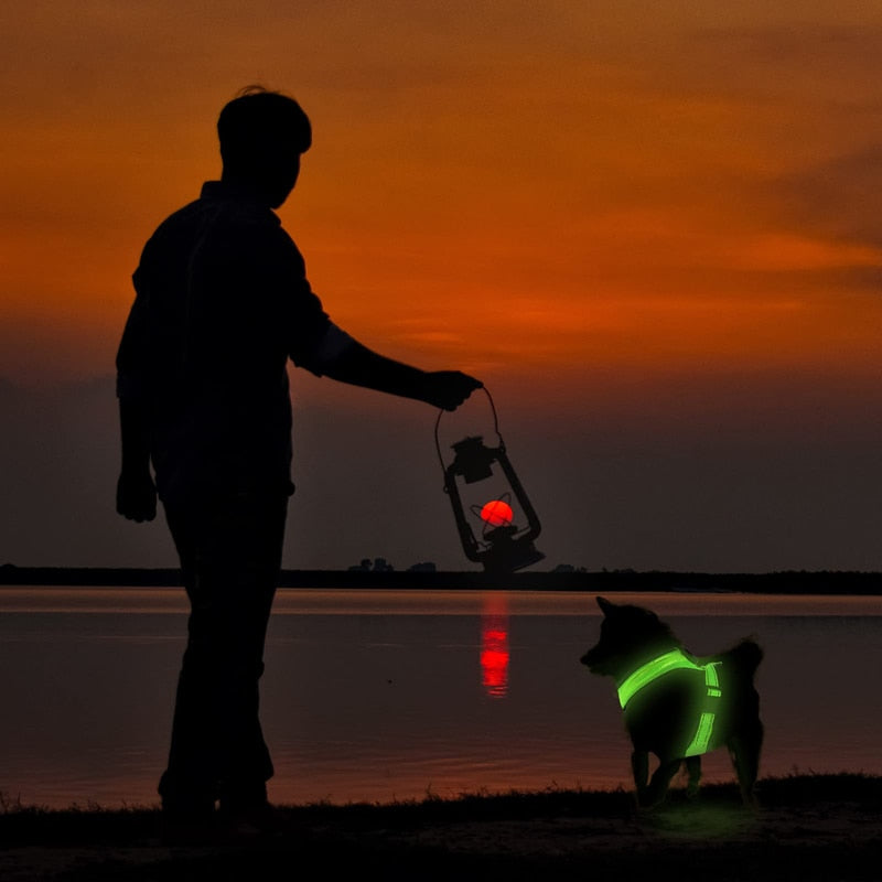 Reflective Mesh LED Light Dog Harness