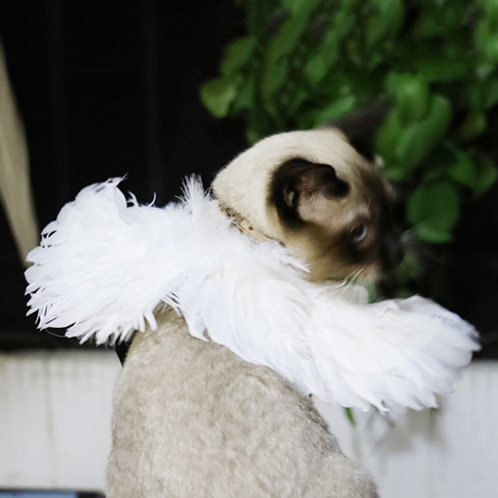 Halloween White Angel Pets Costumes