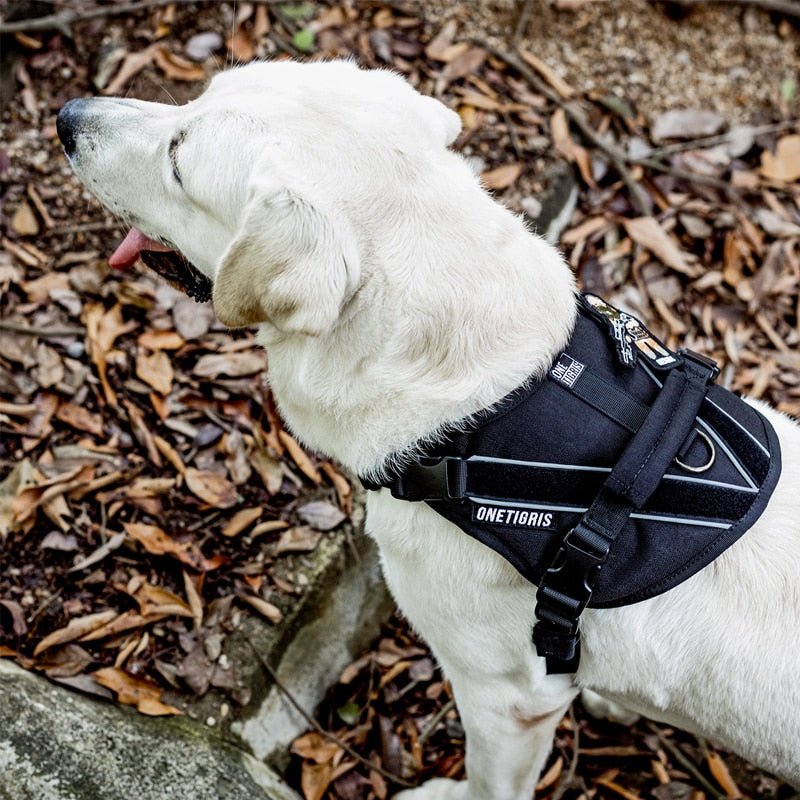 No Slide Reflective Night K9 Harness