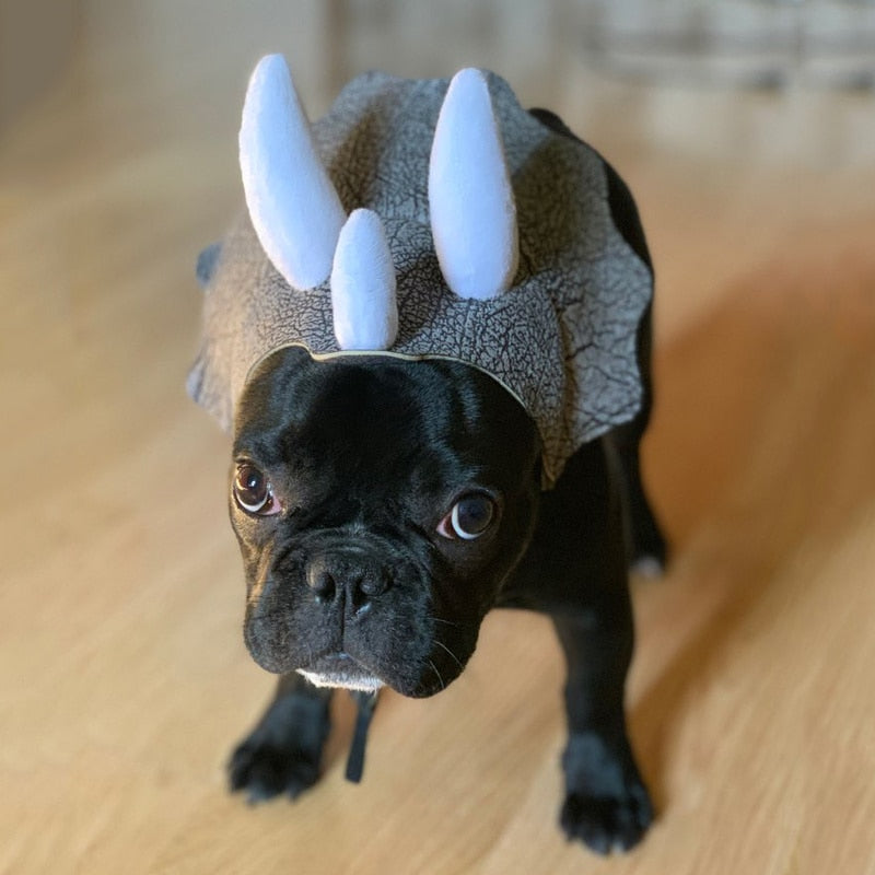 Triceratops Pets Dinosaur Hat